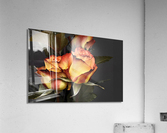 3657 Acrylic Print
