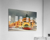 3662 Acrylic Print