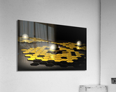 3665 Acrylic Print