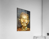 3695 Acrylic Print
