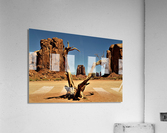 3697 Acrylic Print