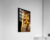 3720 Acrylic Print