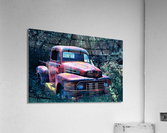 3721 Acrylic Print