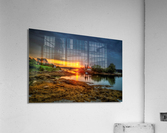 3729 Acrylic Print
