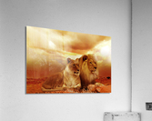 3739 Acrylic Print