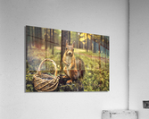 3744 Acrylic Print