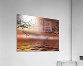 3746 Acrylic Print