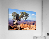 3756 Acrylic Print