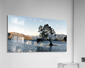 3757 Acrylic Print