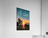 3768 Acrylic Print