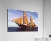 3774 Acrylic Print