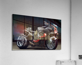 3778 Acrylic Print