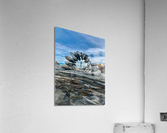 3780 Acrylic Print