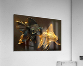 3782 Acrylic Print