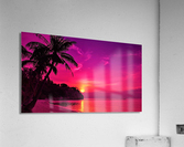 3798 Acrylic Print