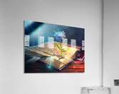 3812 Acrylic Print