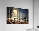 3820 Acrylic Print