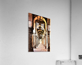 3823 Acrylic Print