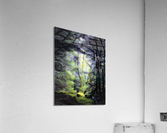 3825 Acrylic Print