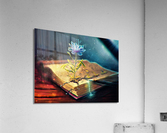 3829 Acrylic Print