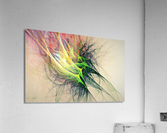 3834 Acrylic Print