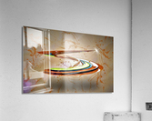 3836 Acrylic Print