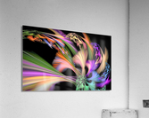 3844 Acrylic Print