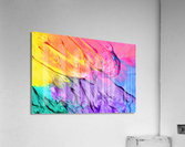 3868 Acrylic Print