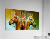 3878 Acrylic Print