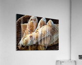 3879 Acrylic Print