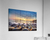 3885 Acrylic Print