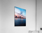 3887 Acrylic Print