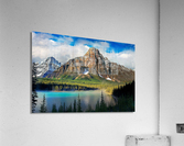3888 Acrylic Print