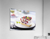3902 Acrylic Print