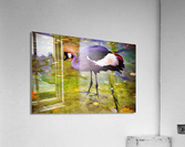 3931 Acrylic Print