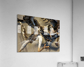 3935 Acrylic Print