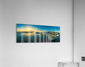 3952 Acrylic Print