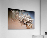 3953 Acrylic Print