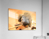 3970 Acrylic Print