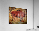 3976 Acrylic Print