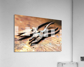 3979 Acrylic Print