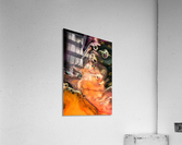 3985 Acrylic Print