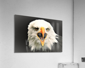 3994 Acrylic Print