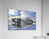 3995 Acrylic Print