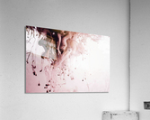 3996 Acrylic Print