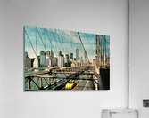 3997 Acrylic Print