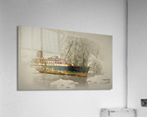 3998 Acrylic Print