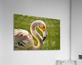 3999 Acrylic Print