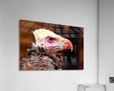 4000 Acrylic Print