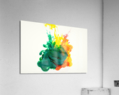 4002 Acrylic Print